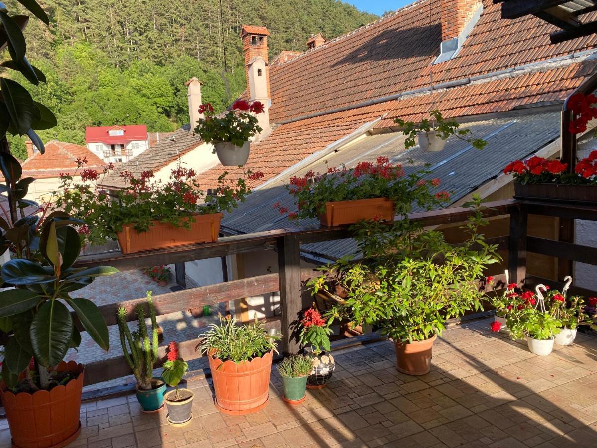Victoria Gasthaus Rasnov - Charming Vacation House In Rasnov Esterno foto