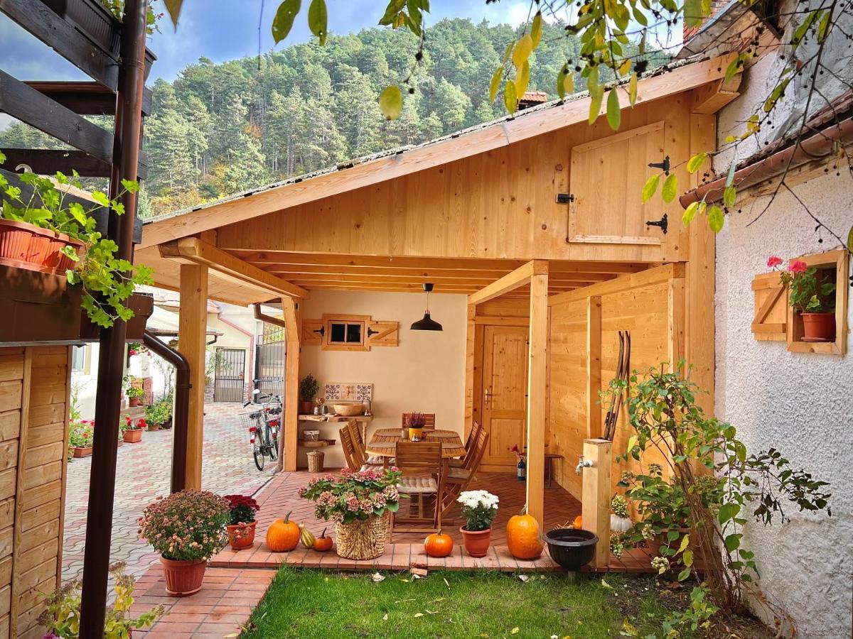 Victoria Gasthaus Rasnov - Charming Vacation House In Rasnov Esterno foto