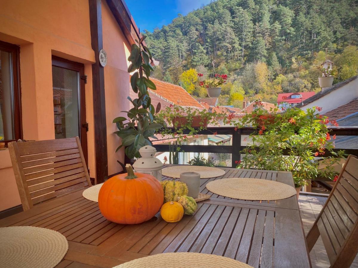 Victoria Gasthaus Rasnov - Charming Vacation House In Rasnov Esterno foto